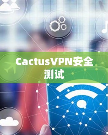 CactusVPN安全测试