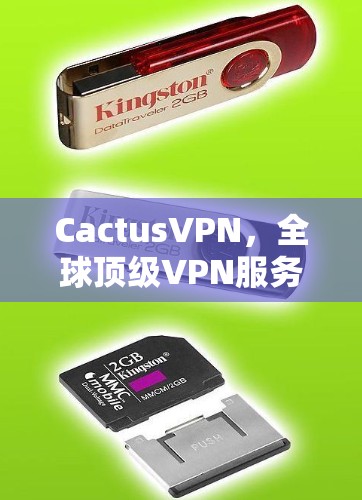 CactusVPN，全球顶级VPN服务，连接未来的网络体验