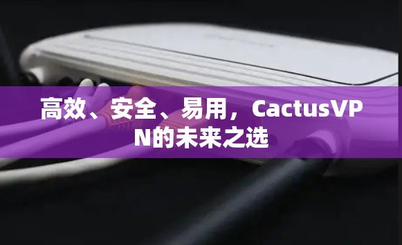 高效、安全、易用，CactusVPN的未来之选