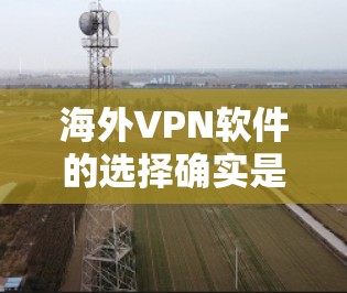 海外VPN软件的选择确实是一个复杂的问题，因为它涉及到多个因素，包括安全性、用户界面、兼容性、价格、社区支持以及其他隐私和数据保护的限制。以下是一些海外VPN软件的评测，供你参考