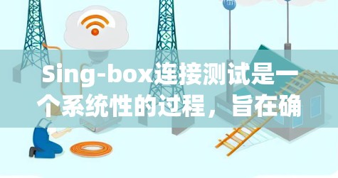 Sing-box连接测试是一个系统性的过程，旨在确保Sing-box与其他组件的可靠连接。以下是对Sing-box连接测试的详细步骤和策略