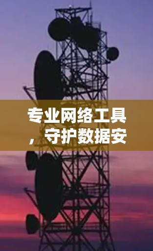 专业网络工具,守护数据安全的守护神 专业网络工具,守护数据安全的守护神