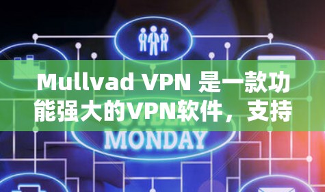 Mullvad VPN 是一款功能强大的VPN软件，支持多语言使用，适合个人和企业用户使用。以下是关于Mullvad VPN的详细信息