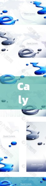 Calyx VPN连接测试，解析网络安全性与隐私保护的挑战与解决方案
